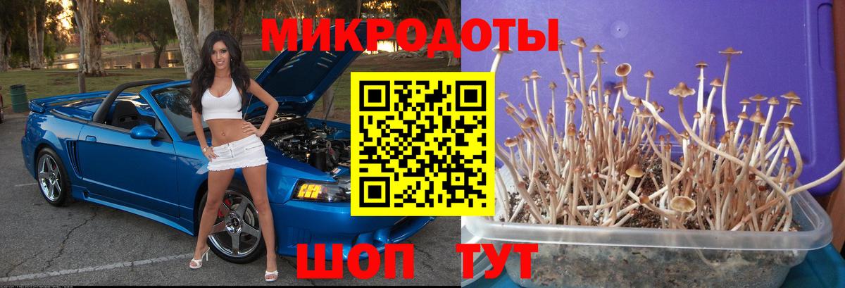 Дубна  где купить наркоту  Вход с VPN  Галлюциногенные грибы Psilocybine cubensis 